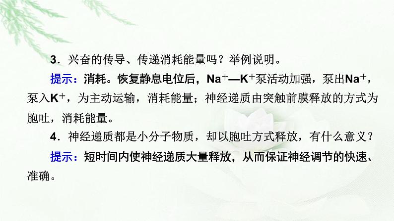 2023届高考生物二轮复习神经调节和体液调节课件第7页