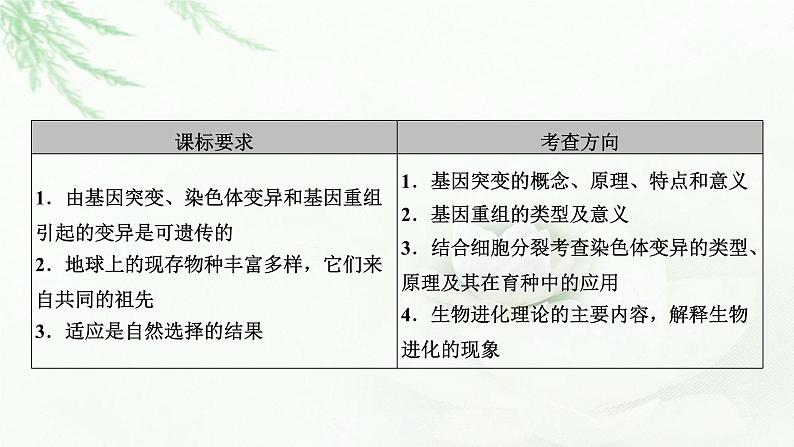 2023届高考生物二轮复习生物的变异课件04