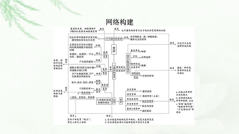 2023届高考生物二轮复习生物的变异课件05