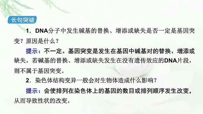 2023届高考生物二轮复习生物的变异课件06