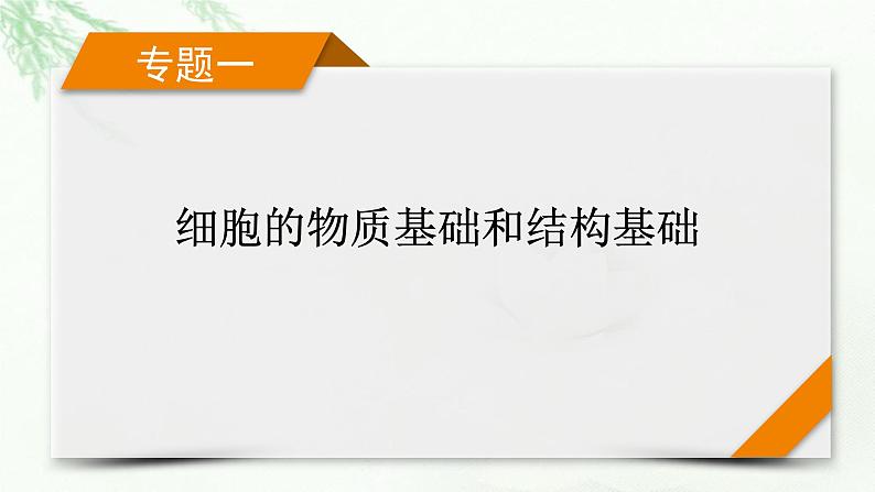 2023届高考生物二轮复习细胞的结构基础课件01