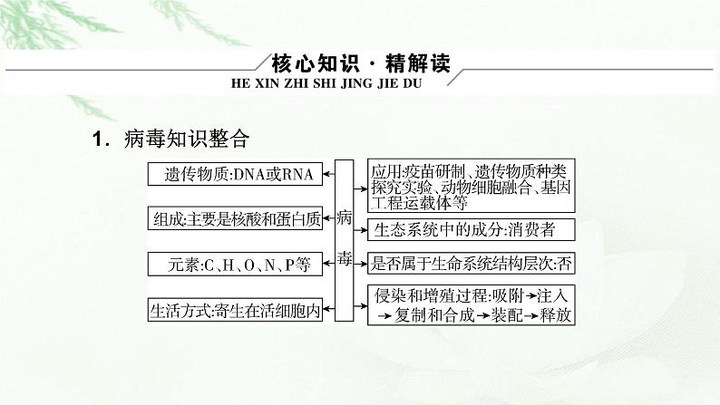 2023届高考生物二轮复习细胞的结构基础课件05