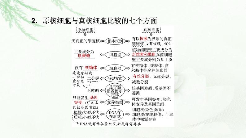 2023届高考生物二轮复习细胞的结构基础课件06