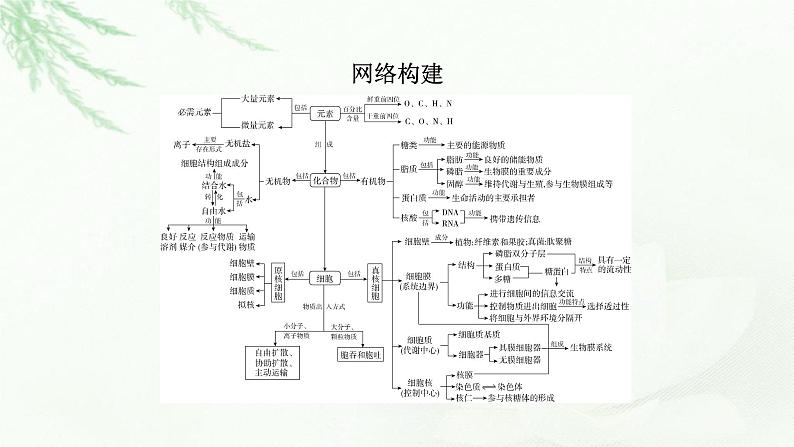 2023届高考生物二轮复习细胞的物质基础和结构基础课件第6页