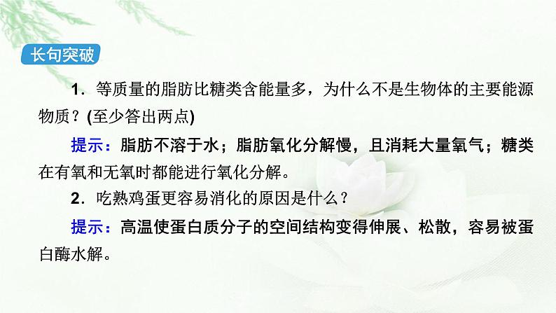 2023届高考生物二轮复习细胞的物质基础和结构基础课件第7页