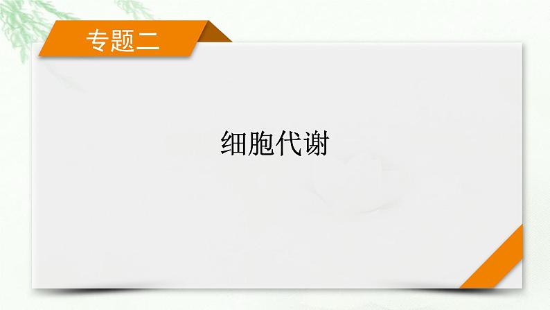 2023届高考生物二轮复习细胞呼吸与光合作用课件01