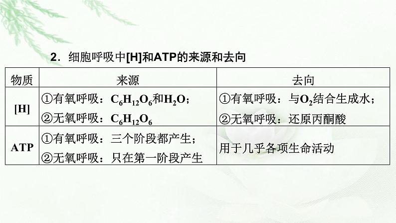 2023届高考生物二轮复习细胞呼吸与光合作用课件06