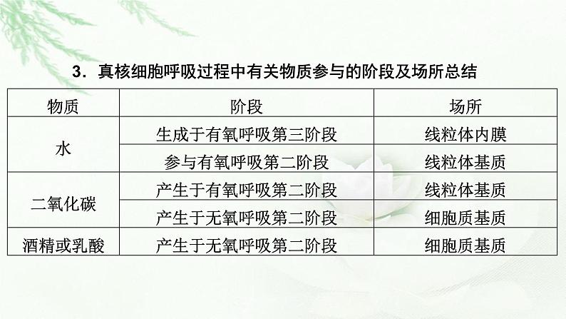 2023届高考生物二轮复习细胞呼吸与光合作用课件07