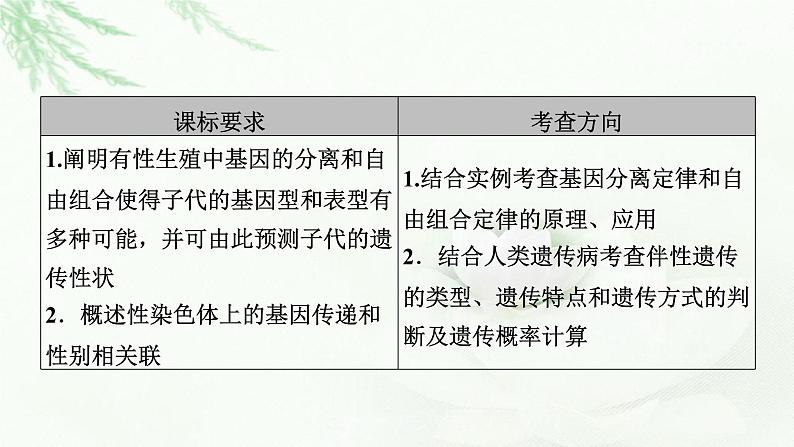 2023届高考生物二轮复习遗传的基本规律课件第4页