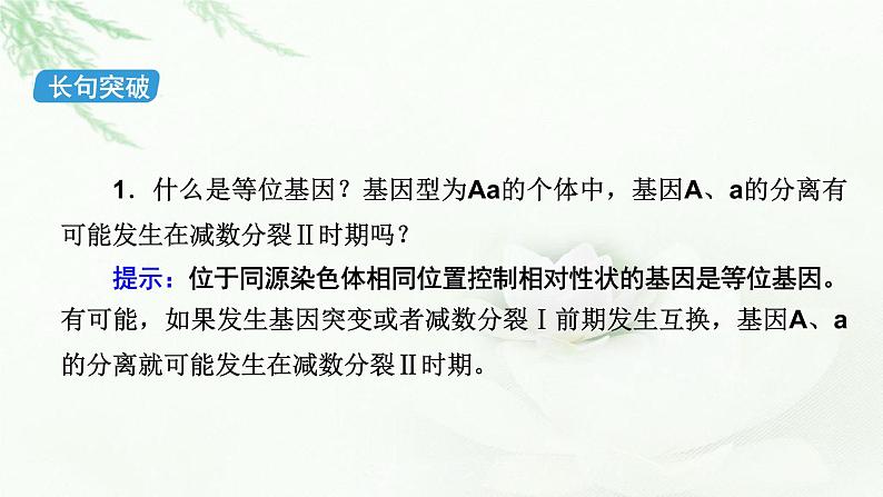 2023届高考生物二轮复习遗传的基本规律课件第6页