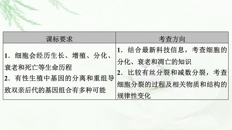 2023届高考生物二轮复习有丝分裂与减数分裂课件04