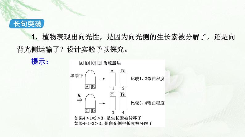 2023届高考生物二轮复习植物激素调节课件07