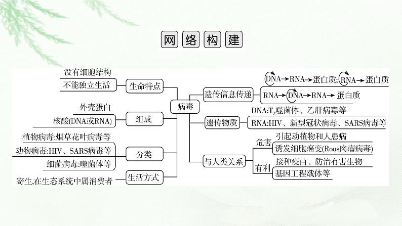 2023届高考生物二轮复习热点突破1课件第2页