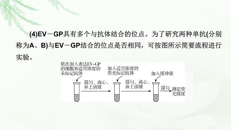 2023届高考生物二轮复习热点突破1课件第6页