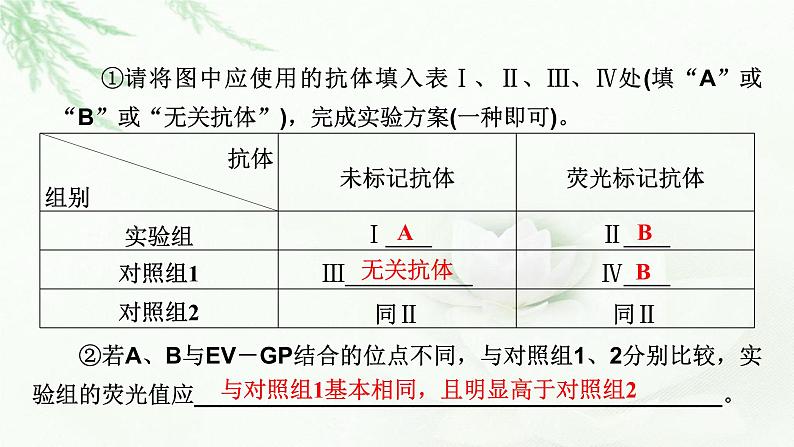 2023届高考生物二轮复习热点突破1课件第7页