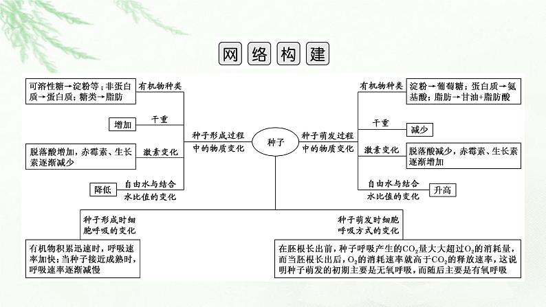 2023届高考生物二轮复习热点突破2课件第2页