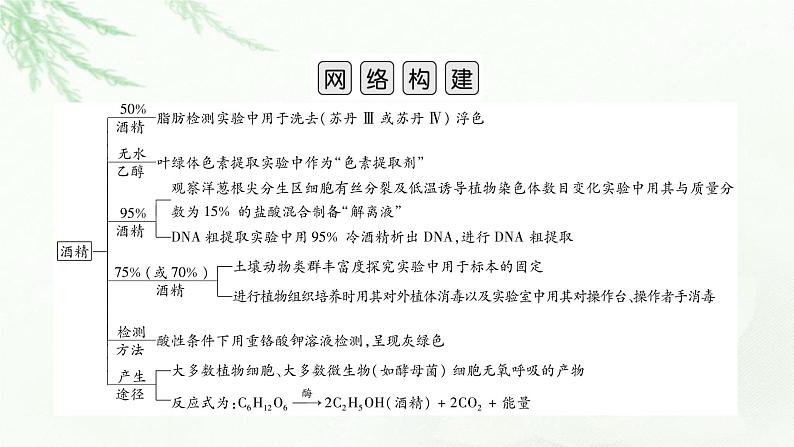 2023届高考生物二轮复习热点突破3课件第2页