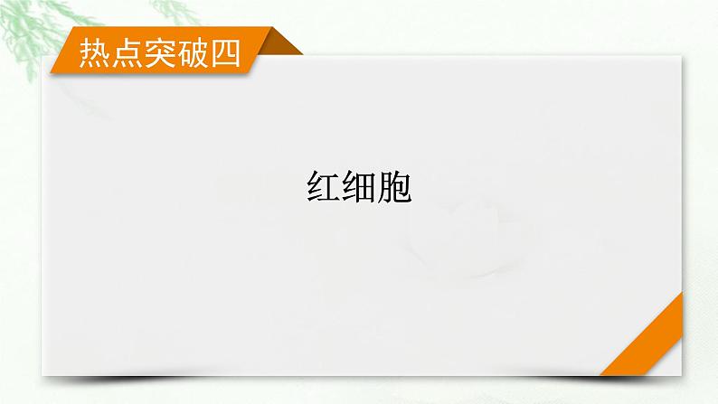 2023届高考生物二轮复习热点突破4课件第1页