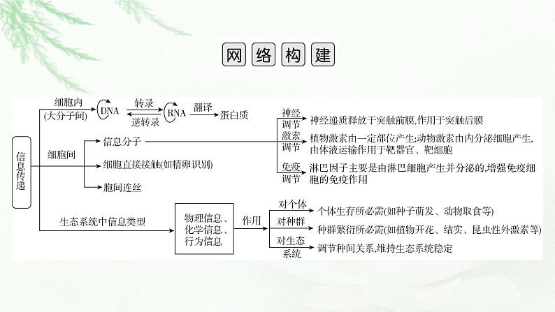 2023届高考生物二轮复习热点突破5课件第2页