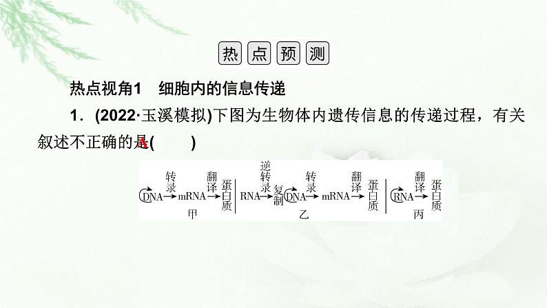 2023届高考生物二轮复习热点突破5课件第3页