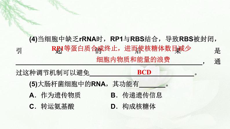 2023届高考生物二轮复习热点突破5课件第8页