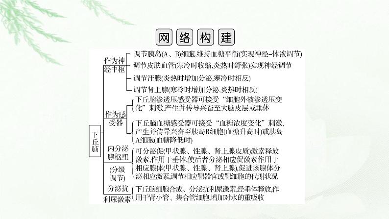 2023届高考生物二轮复习热点突破6课件第2页