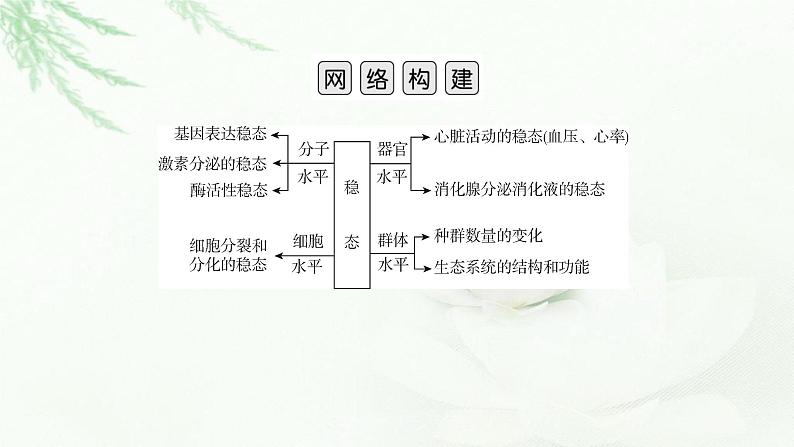 2023届高考生物二轮复习热点突破7课件第2页