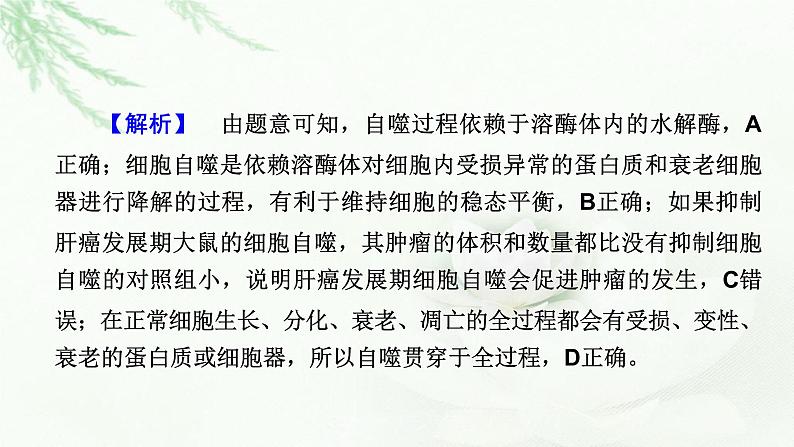 2023届高考生物二轮复习热点突破7课件第4页