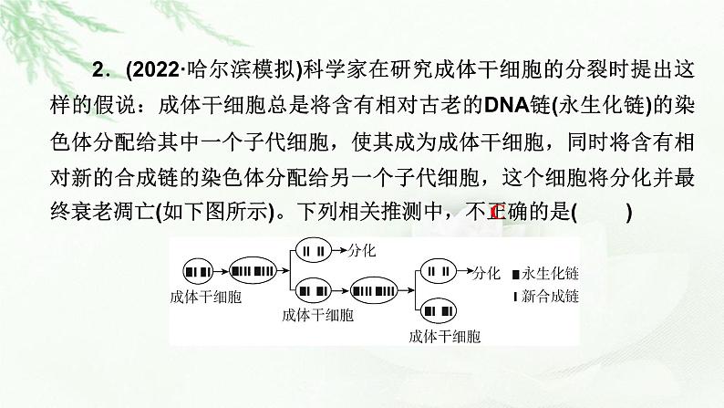 2023届高考生物二轮复习热点突破7课件第5页