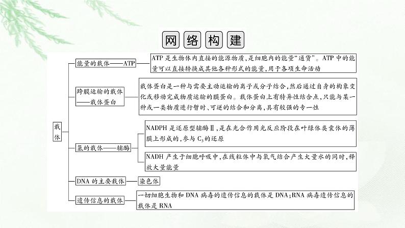 2023届高考生物二轮复习热点突破8课件第2页