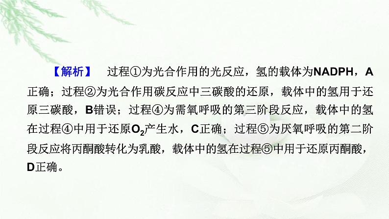 2023届高考生物二轮复习热点突破8课件第4页