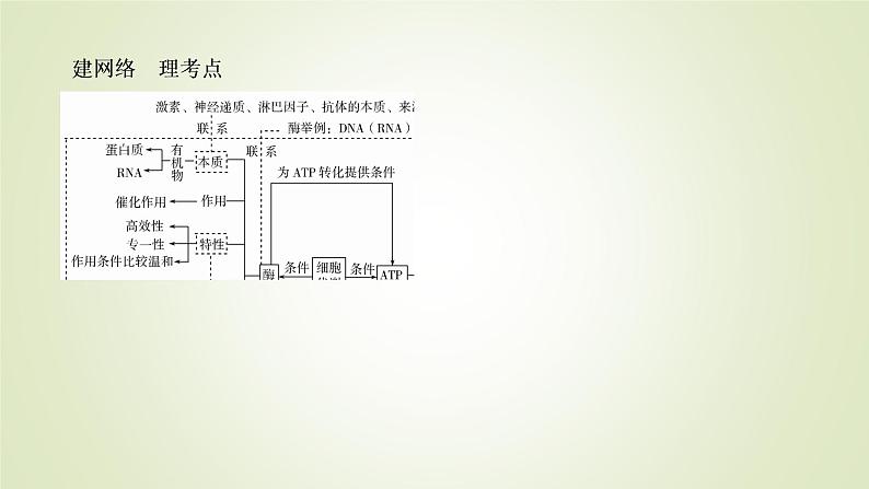 2023届高考生物二轮复习酶和ATP课件06