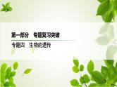2023届高考生物二轮复习判断基因位置的探究实验课件