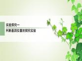 2023届高考生物二轮复习判断基因位置的探究实验课件