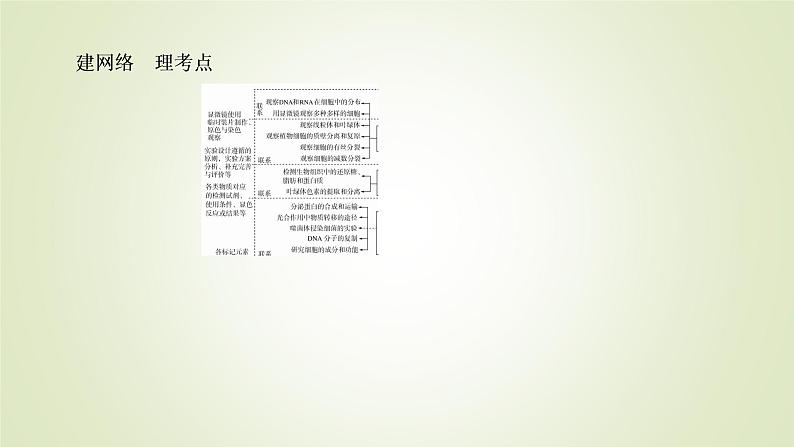 2023届高考生物二轮复习实验与探究课件第6页