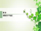 2023届高考生物二轮复习细胞的分子组成与基本结构课件