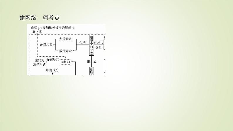 2023届高考生物二轮复习细胞的分子组成与基本结构课件06