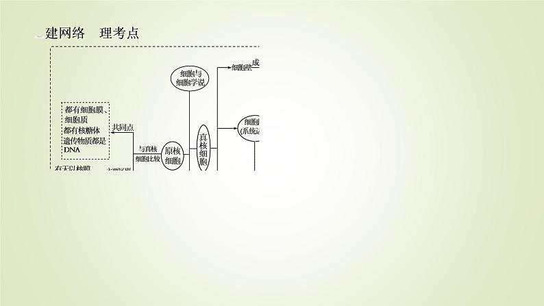 2023届高考生物二轮复习细胞的基本结构和物质输入与输出课件第6页