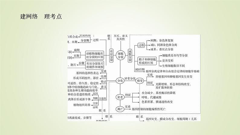 2023届高考生物二轮复习细胞的生命历程课件第6页