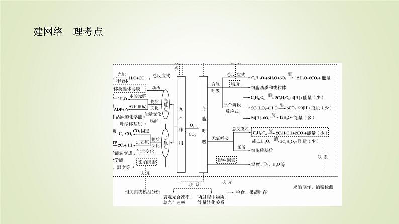 2023届高考生物二轮复习细胞呼吸和光合作用课件06