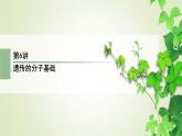 2023届高考生物二轮复习遗传的分子基础课件