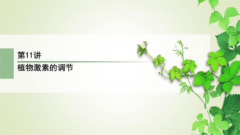 2023届高考生物二轮复习植物激素的调节课件02