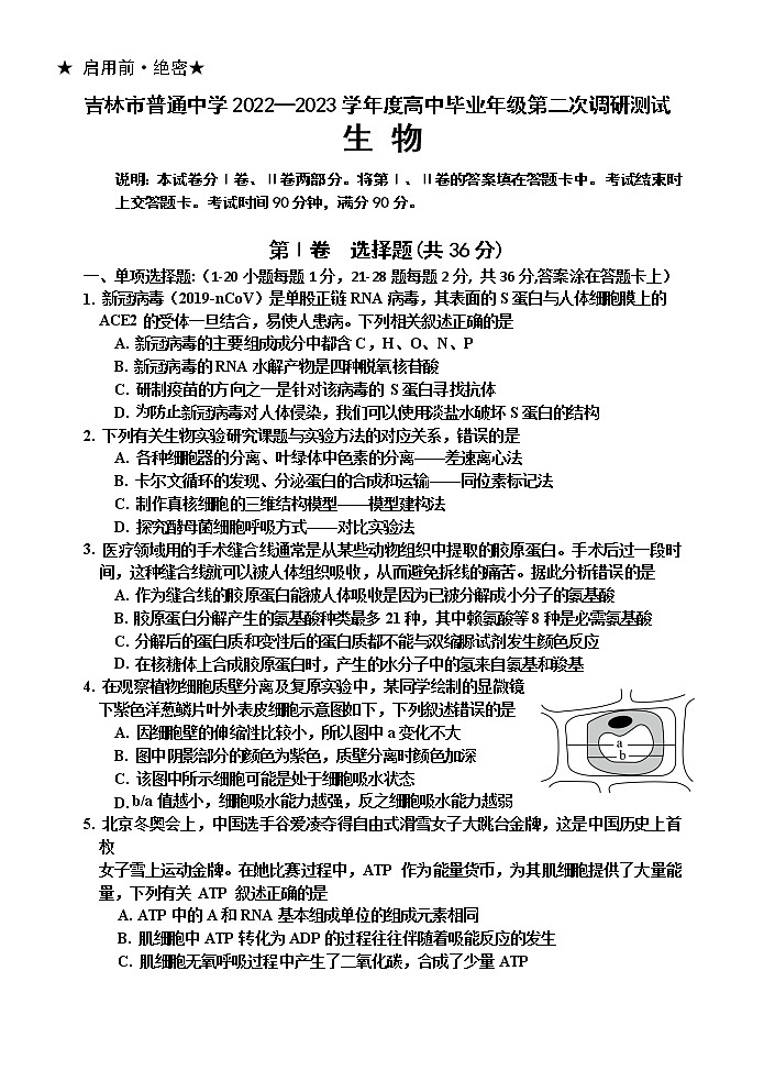 吉林省吉林市2022-2023学年高三下学期高考第二次调研测试  生物  Word版含答案01