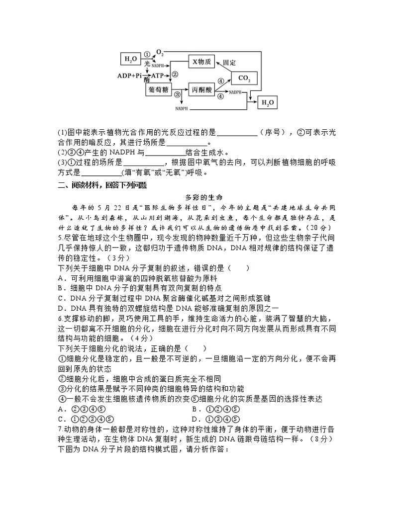 2022-2023学年上海市浦东新区高一下册生物期末专项突破卷（一模）含答案02