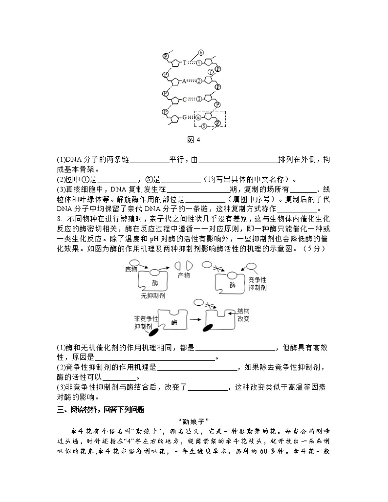 2022-2023学年上海市浦东新区高一下册生物期末专项突破卷（一模）含答案03