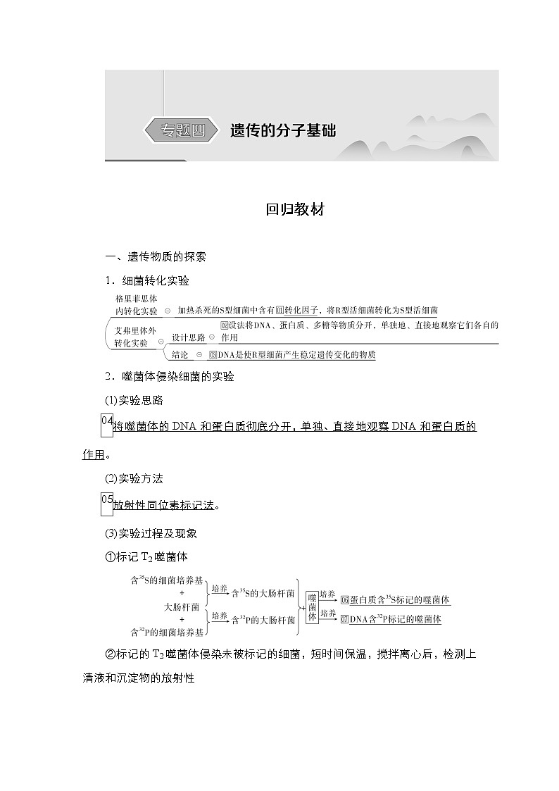 人教版高中生物选择性必修三回归教材遗传的分子基础学案第1页