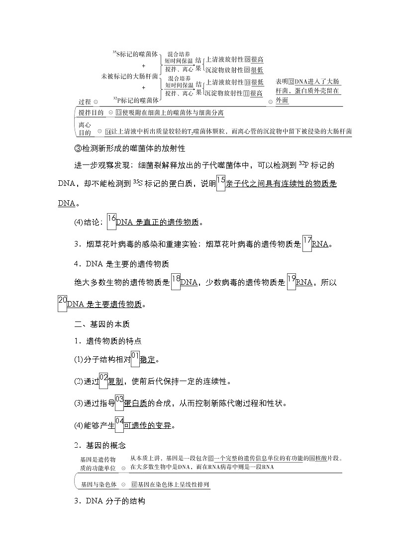 人教版高中生物选择性必修三回归教材遗传的分子基础学案第2页