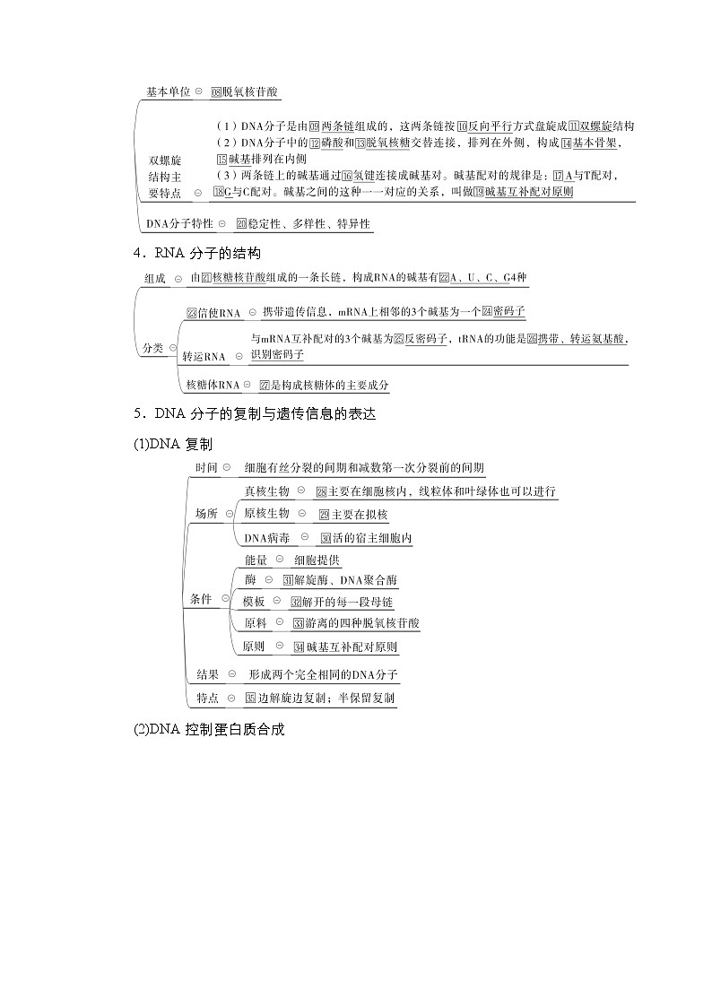 人教版高中生物选择性必修三回归教材遗传的分子基础学案第3页