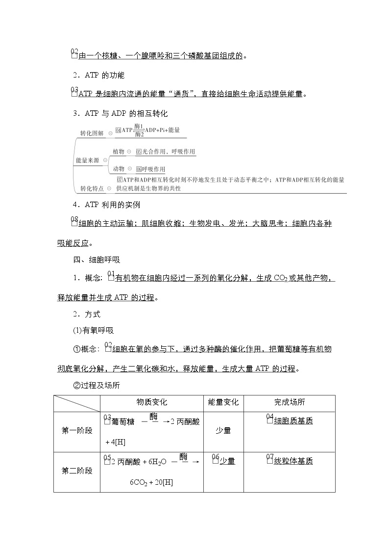 人教版高中生物选择性必修三回归教材细胞的代谢学案03