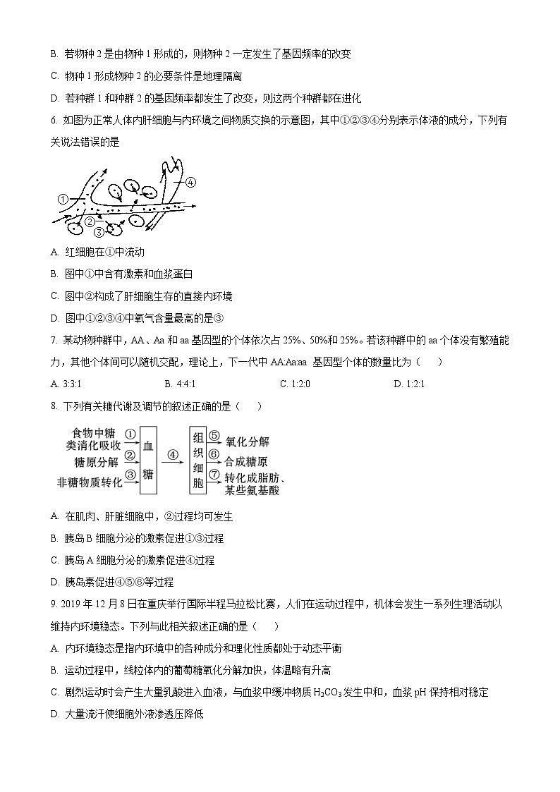 2023成都东部新区养马高级中学高二上学期期中考试生物含解析02